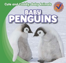 Baby Penguins