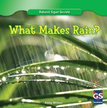 What Makes Rain?