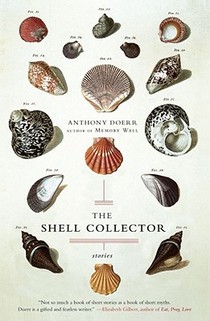 The Shell Collector voorzijde