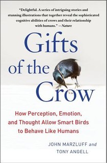 Gifts of the Crow