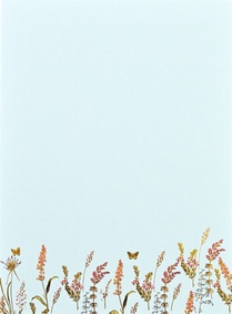 Blooms & Butterflies Boxed Stationery (30 Sheets, 24 Envelopes)