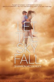 LET THE SKY FALL 1