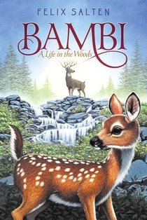 BAMBI R/E voorzijde