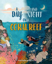 A Day and Night: On a Coral Reef