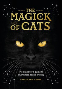 The Magic of Cats
