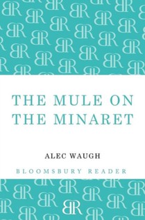 The Mule on the Minaret