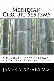 Meridian Circuit Systems: A Channel Based Approach to Pattern Identification