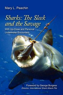 Sharks The Sleek and The Savage: with up close and underwater personal encounters