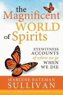 The Magnificient World of Spirits: Eyewitness Accounts of Where We Go When We Die voorzijde