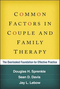 Common Factors in Couple and Family Therapy