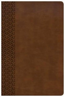 CSB Everyday Study Bible, British Tan LeatherTouch voorzijde