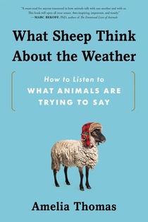 What Sheep Think about the Weather: How to Listen to What Animals Are Trying to Say