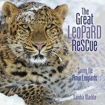 The Great Leopard Rescue: Saving the Amur Leopards