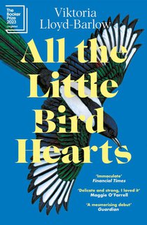 All the Little Bird-Hearts voorzijde