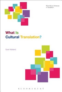 What Is Cultural Translation? voorzijde