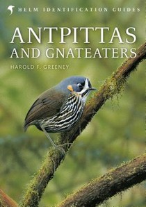 Antpittas and Gnateaters voorzijde