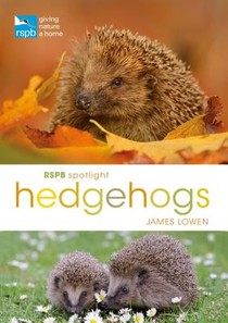 RSPB Spotlight Hedgehogs voorzijde