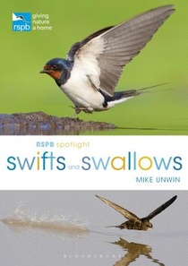 RSPB Spotlight Swifts and Swallows voorzijde