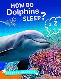 How Do Dolphins Sleep?