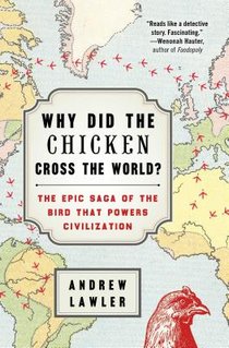 Why Did the Chicken Cross the World? voorzijde