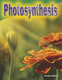 Photosynthesis voorzijde