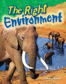 The Right Environment
