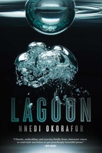 LAGOON R/E