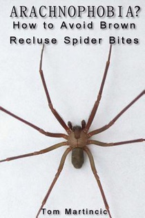 ARACHNOPHOBIA? How to Avoid Brown Recluse Spider Bites