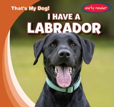 I Have a Labrador