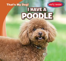 I Have a Poodle