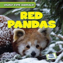 Red Pandas
