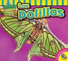 Las Polillas