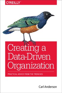 Creating a Data–Driven Organization