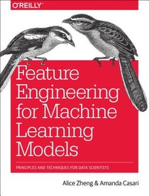 Feature Engineering for Machine Learning