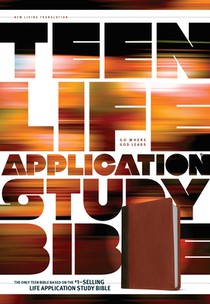 TEEN LIFE APPLICATION STUDY BI