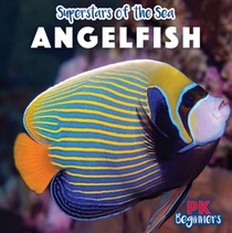 Angelfish