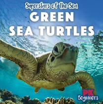 Green Sea Turtles