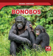 Bonobos