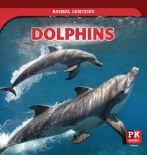 Dolphins