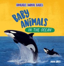 Baby Animals in the Ocean