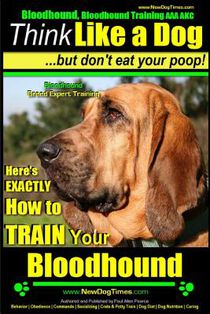 Bloodhound, Bloodhound Training AAA AKC: Think Like a Dog, but Don't Eat Your Poop! Bloodhound Breed Expert Training: Here's EXACTLY How to Train Your