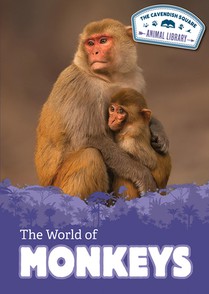 The World of Monkeys