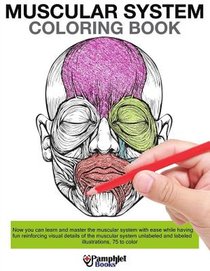 Muscular System Coloring Book: Now you can learn and master the muscular system with ease while having fun