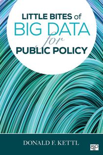 Little Bites of Big Data for Public Policy voorzijde