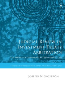 Judicial Review in Investment Treaty Arbitration