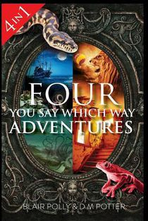 Four You Say Which Way Adventures voorzijde