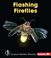 Flashing Fireflies