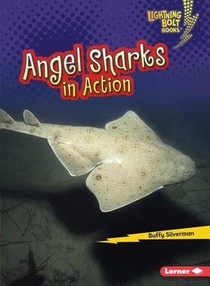 Angel Sharks in Action voorzijde