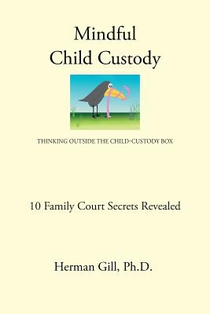Mindful Child Custody: Thinking Outside the Child Custody Box 10 Family Court Secrets Revealed