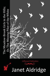 The Meadow-Brook Girls in the Hills; Or, The Missing Pilot of the White